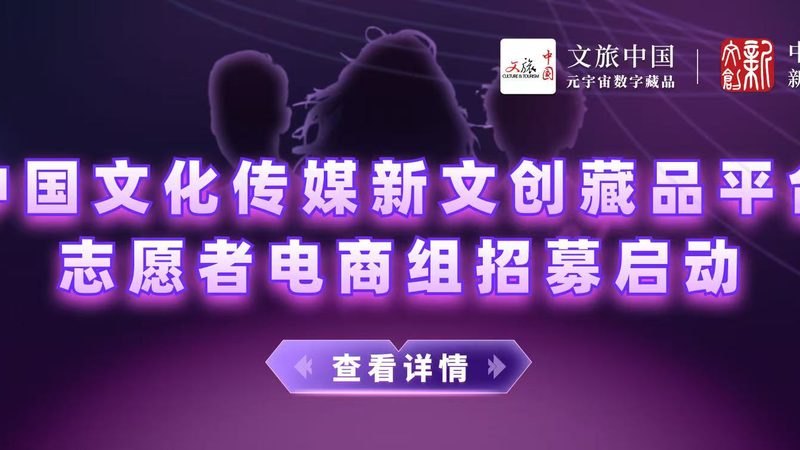 VI设计模板：材质、规格全解析